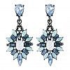 Big Luxury Flower Drop Earring