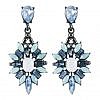 Big Luxury Flower Drop Earring