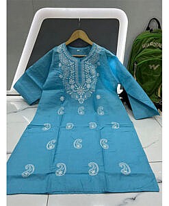 Pastel blue chikan embroidery kurti