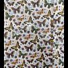 Butterfly print paper gift wrap sheet