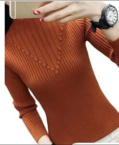 Brown winter sweater top with neck design