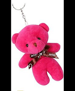 Cute Teddy key chain for keys and Bags