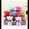 Cute Teddy key chain for keys and Bags