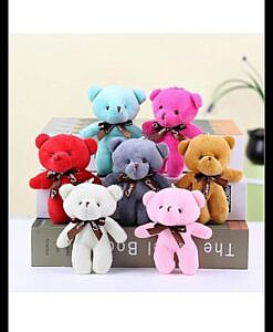 Cute Teddy key chain for keys and Bags